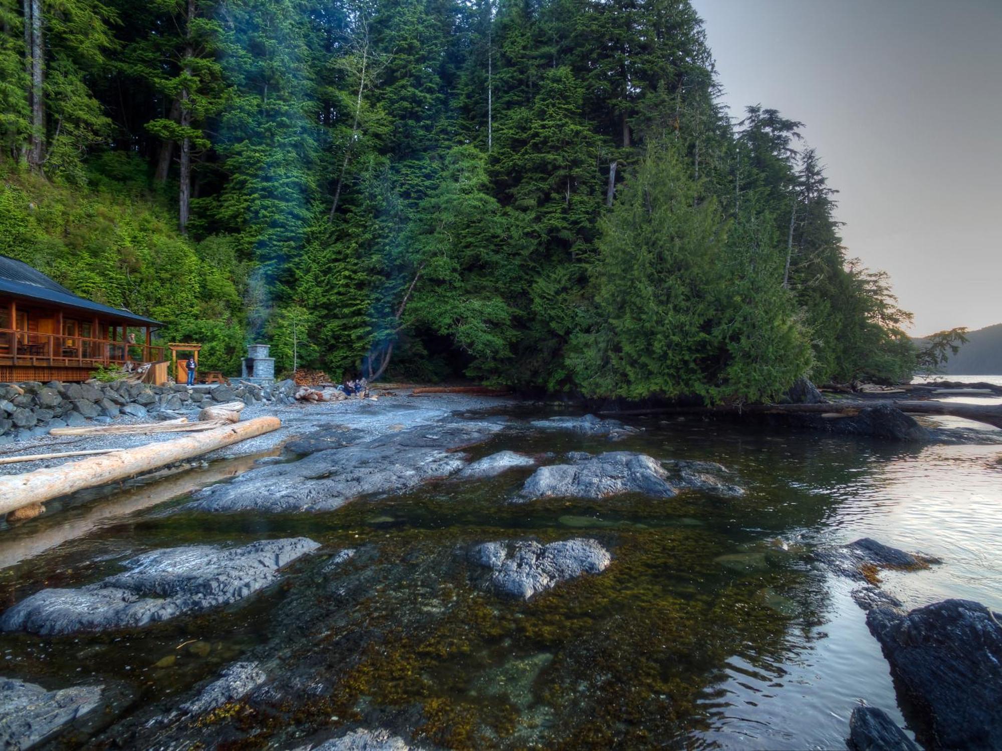 Wild Renfrew Seaside Cottages Port Renfrew Chambre photo